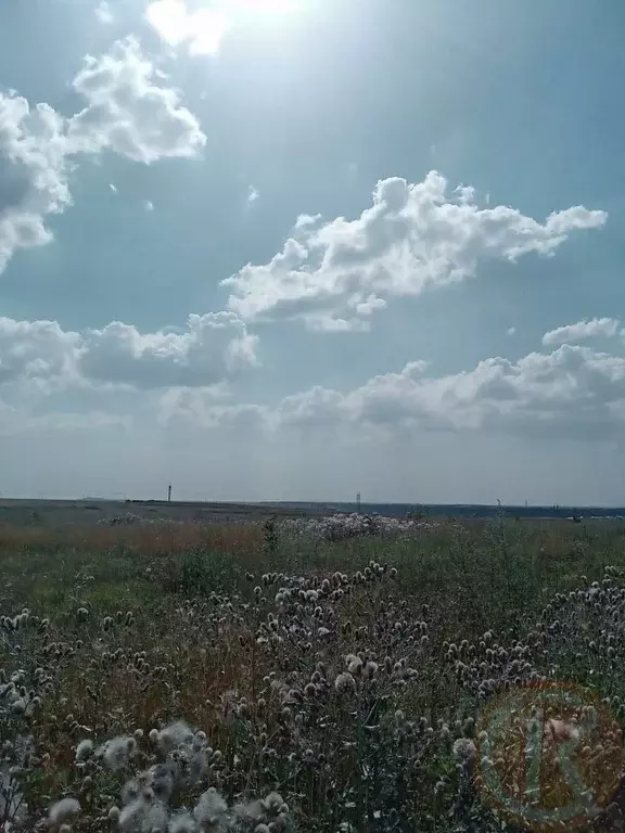Участок в Крым, Симферопольский район, с. Трудовое ул. Сахарова (8.0 ... - Фото 0