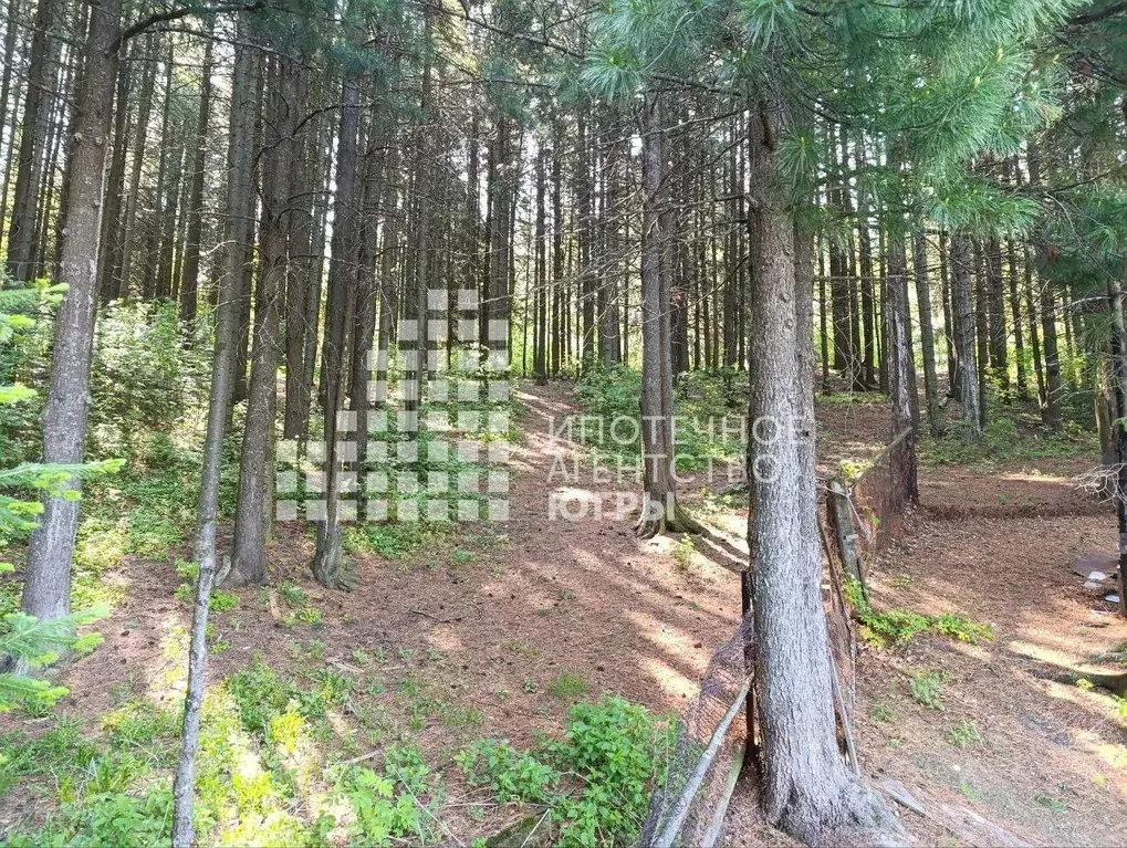 Дом в Ханты-Мансийский АО, Ханты-Мансийск ул. Ленина, 3 (147 м) - Фото 1