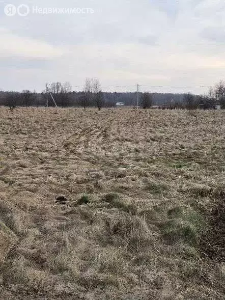 Участок в Калининградская область, Гурьевский муниципальный округ, ... - Фото 0