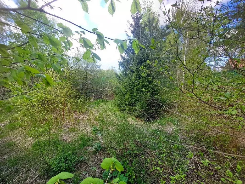 Участок в Московская область, Одинцовский городской округ, д. Малые ... - Фото 0