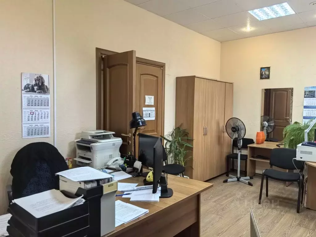 Помещение свободного назначения в Вологодская область, Кадуй рп ул. ... - Фото 1