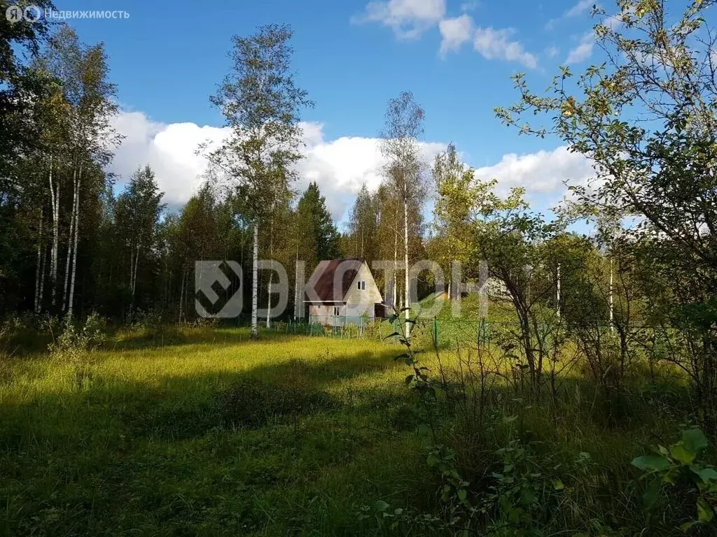 Участок в Кусинское сельское поселение, садоводческое товарищество ... - Фото 1