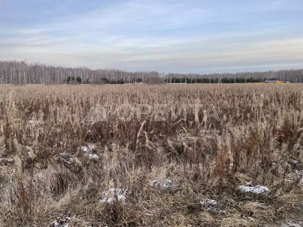 Участок в Тюменская область, Тюменский район, с. Кулига ул. ... - Фото 1