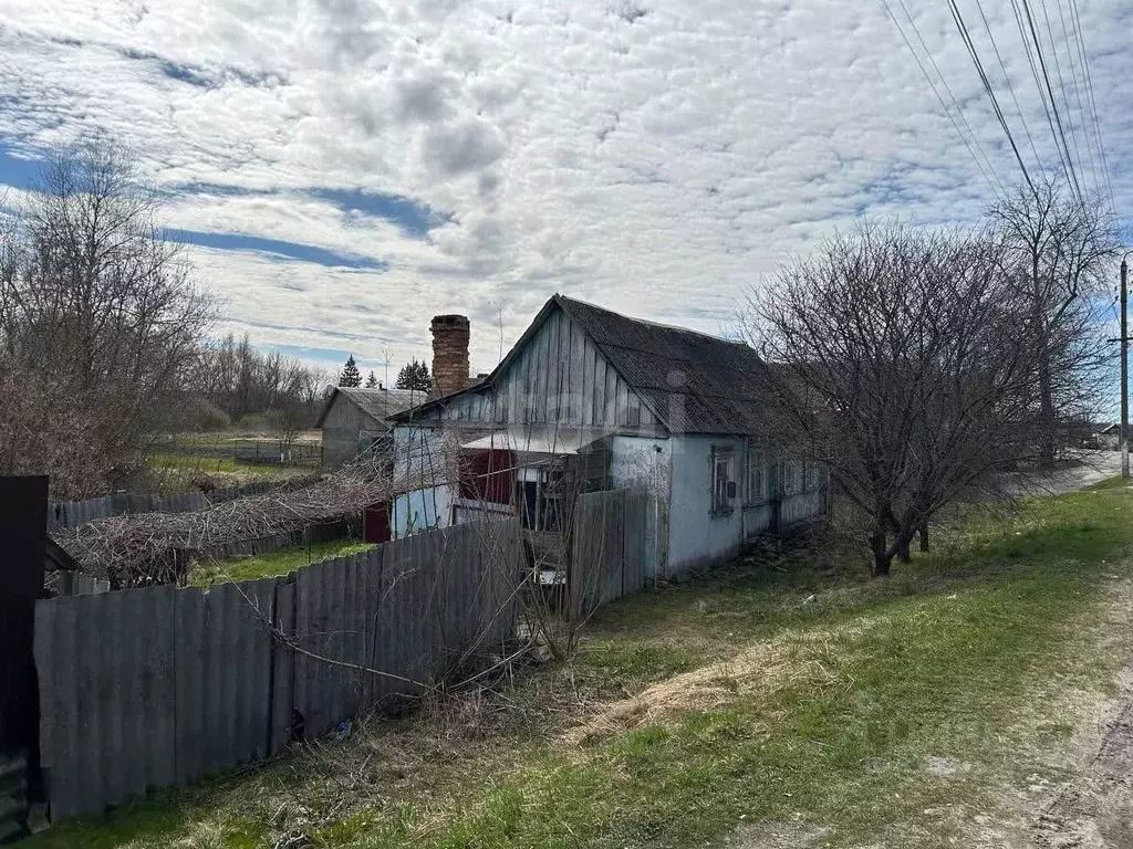Дом в Брянская область, Почеп Брянская ул. (50 м) - Фото 2