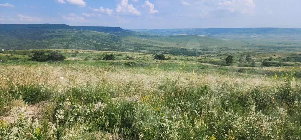 Участок 6 сот. (СНТ, ДНП) - Фото 0