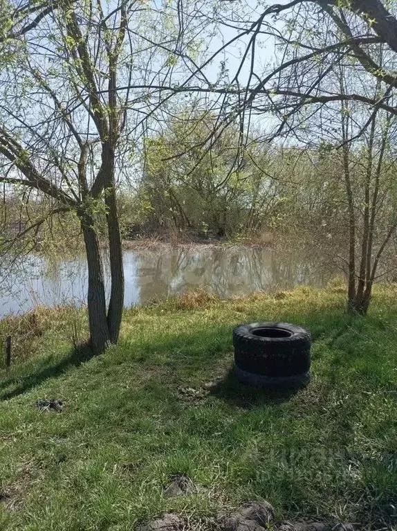 Участок в Белгородская область, Шебекино ул. Вити Захарченко (8.7 ... - Фото 0