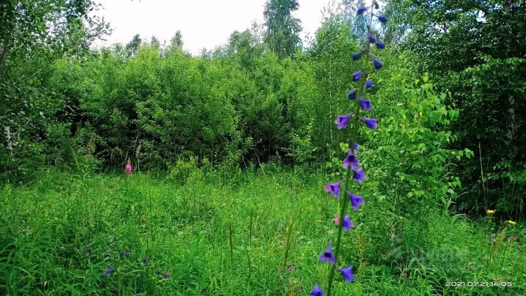 Участок в Иркутская область, Иркутск ул. Загадочная (9.0 сот.) - Фото 1