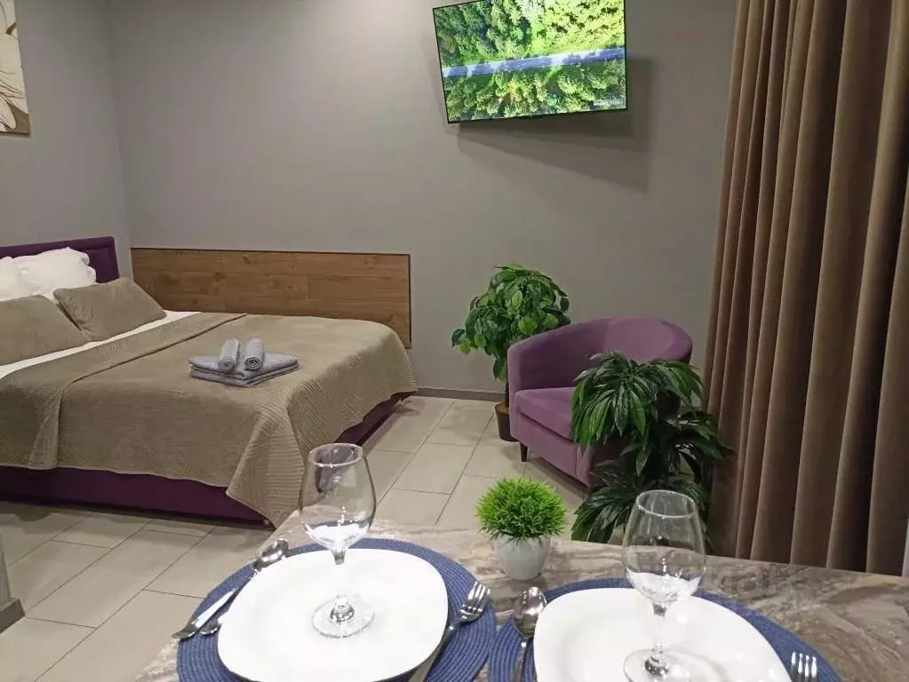 Студия Ивановская область, Иваново ул. Батурина, 27 (27.0 м) - Фото 1