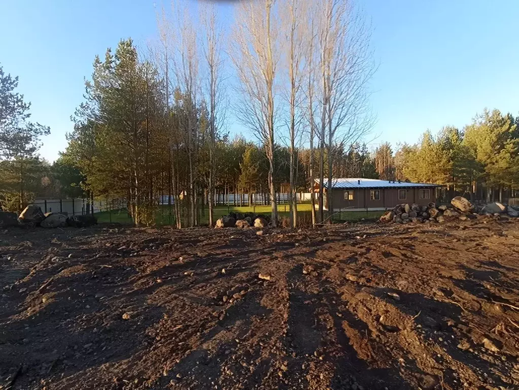 Участок в Ленинградская область, Приозерский район, Запорожское с/пос, ... - Фото 1