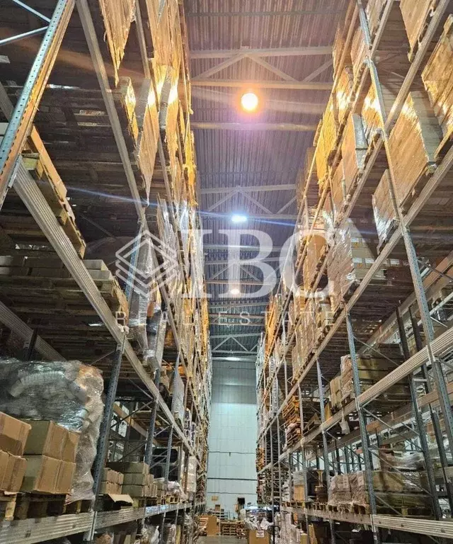 Склад в Московская область, Чехов муниципальный округ, д. Люторецкое ... - Фото 1