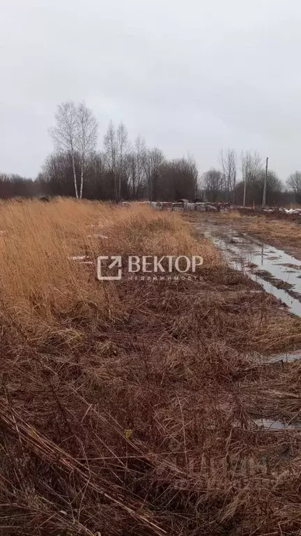 Участок в Костромская область, Кострома проезд Ситцевый (11.7 сот.) - Фото 1