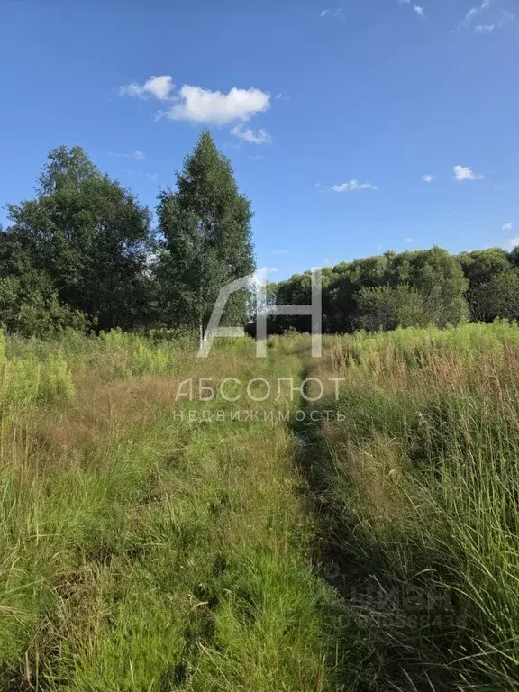 Участок в Московская область, Сергиево-Посадский городской округ, с. ... - Фото 0