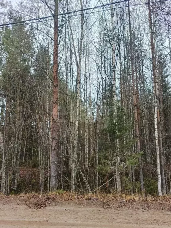 Участок в Коми, Сыктывкар городской округ, Верхняя Максаковка пгт ул. ... - Фото 1