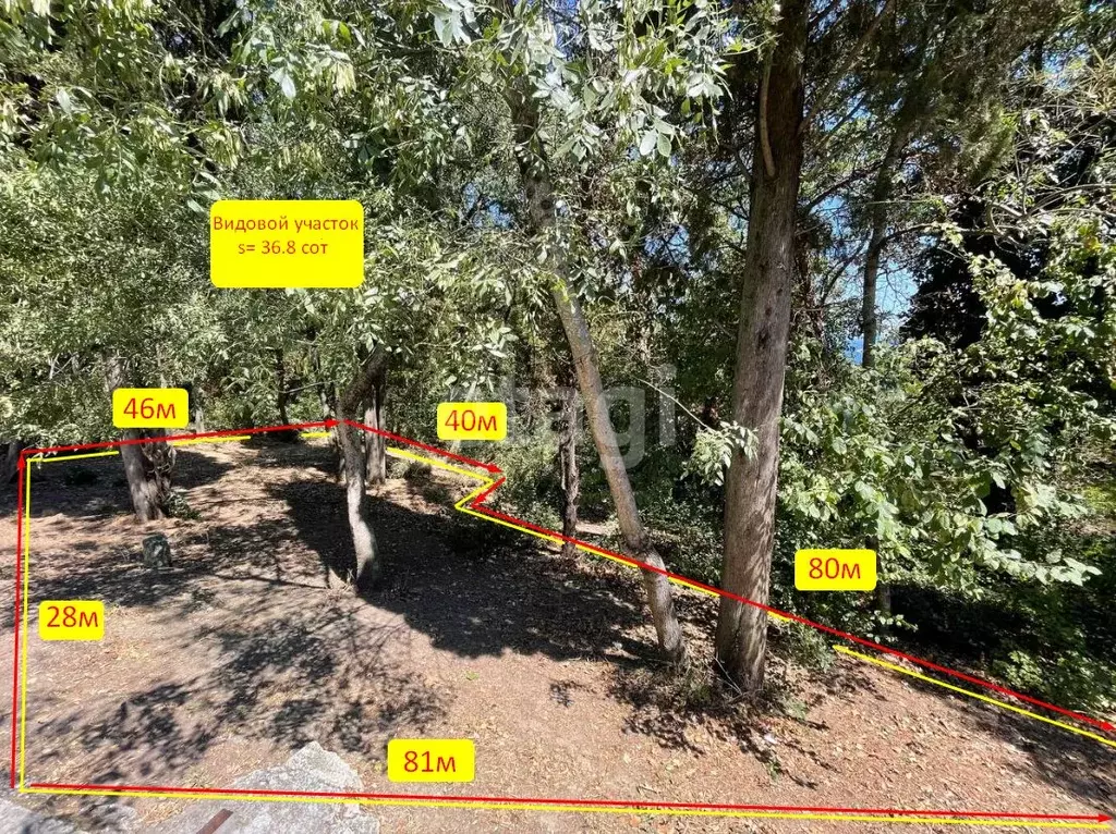 Участок в Крым, Ялта муниципальный округ, Ливадия пгт ул. Батурина ... - Фото 2