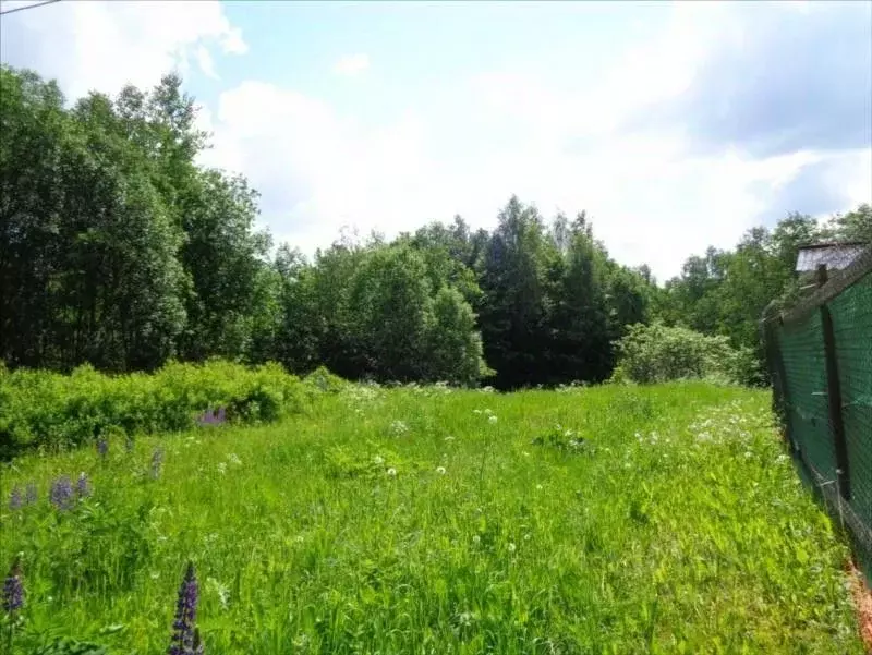 Участок в Ленинградская область, Лужский район, Мшинское с/пос, д. ... - Фото 2
