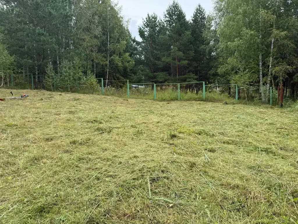 Участок в Новосибирская область, Искитимский район, с. Морозово  (15.0 ... - Фото 2