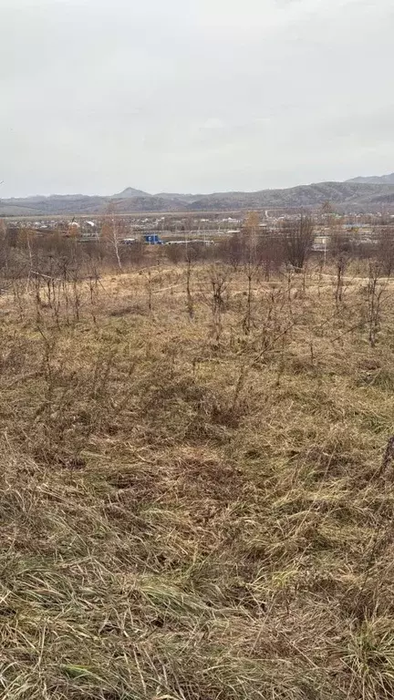 Участок в Алтай, Майминский район, с. Майма ул. Энергетиков (8.0 сот.) - Фото 1