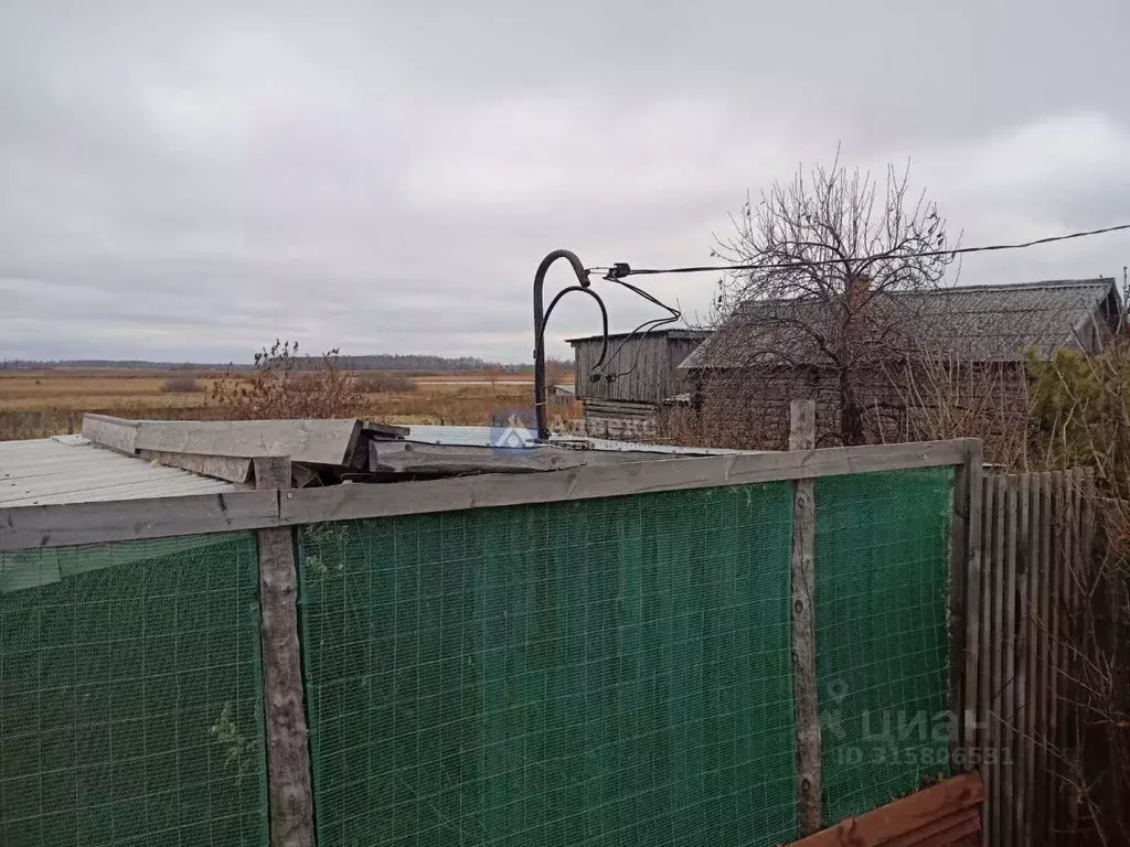 Участок в Тюменская область, Ялуторовский район, д. Соснина Зеленая ... - Фото 1