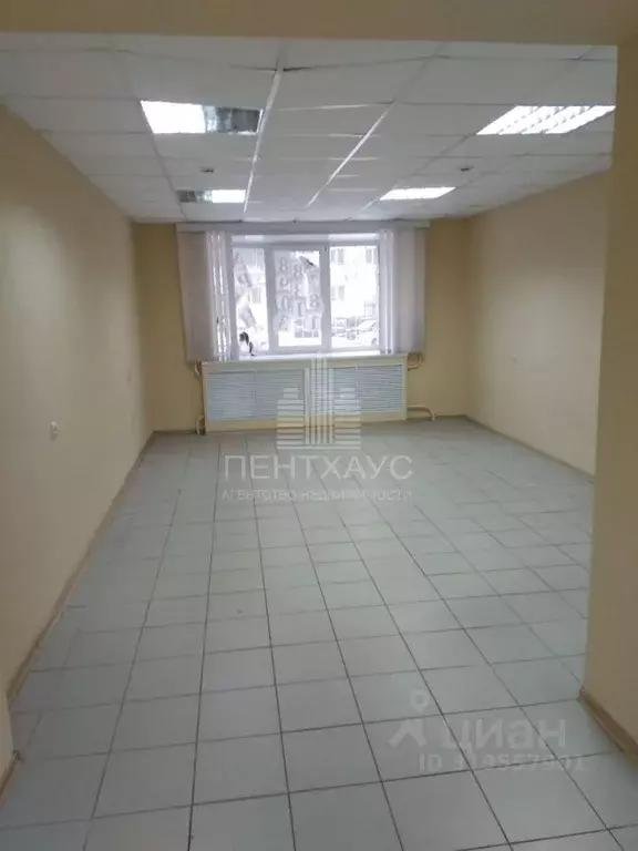 Помещение свободного назначения в Владимирская область, Владимир ... - Фото 1