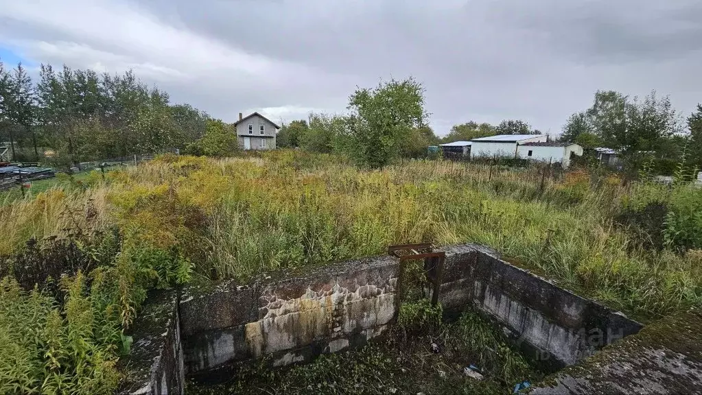 Участок в Калининградская область, Гурьевск Клубничка СНТ, ул. ... - Фото 0
