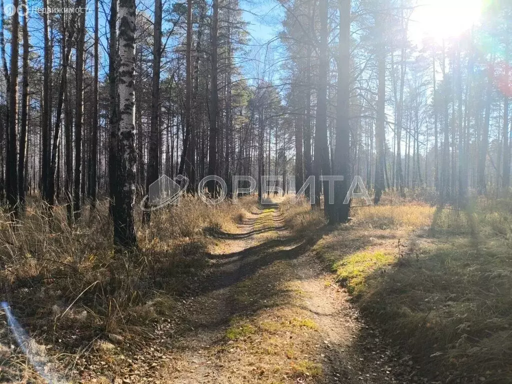 Участок в Тюменский муниципальный округ, деревня Речкина (19.69 м) - Фото 1