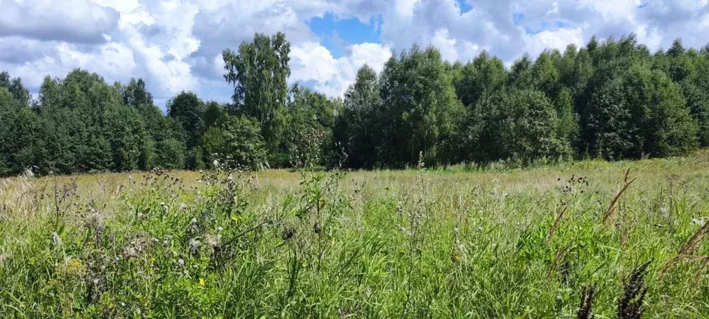 Участок в Московская область, Солнечногорск городской округ, д. Мостки ... - Фото 1