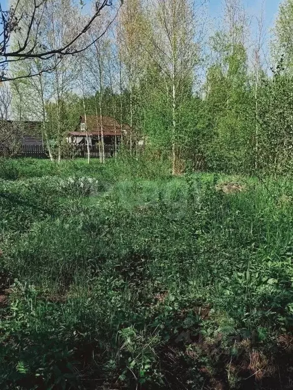 Участок в Кировская область, Юрьянский район, Загарское с/пос, ... - Фото 1