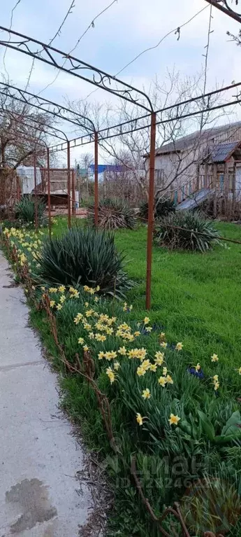 Дом в Крым, Сакский район, с. Добрушино ул. Урожайная, 32 (240 м) - Фото 2