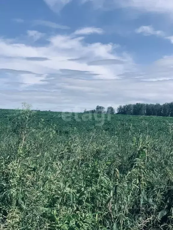 Участок в Свердловская область, Сысертский муниципальный округ, СНТ ... - Фото 0