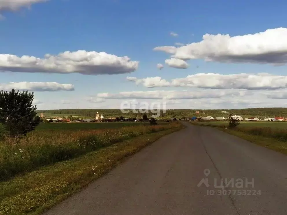 Участок в Свердловская область, Тугулымский городской округ, с. ... - Фото 0