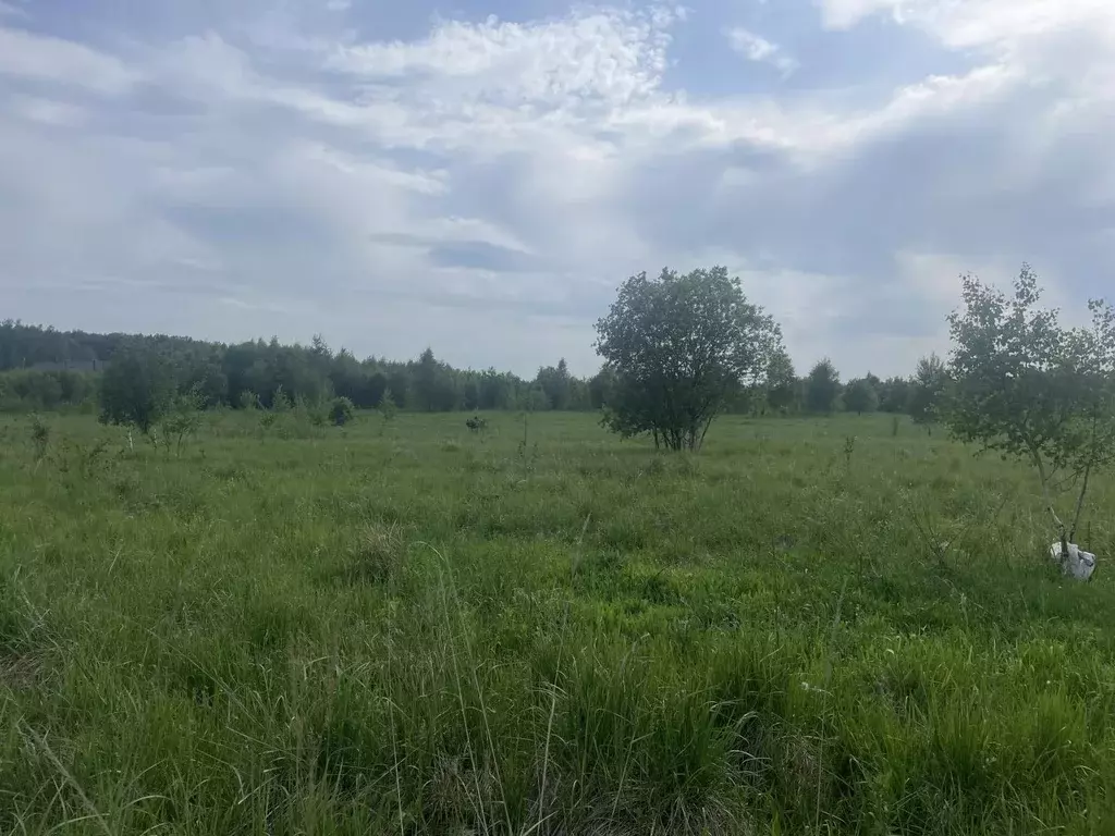 Продается участок в с. Заворово - Фото 2