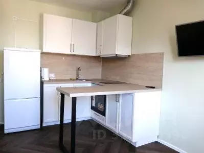 Студия Санкт-Петербург дор. Муринская, 25к2 (20.5 м) - Фото 1