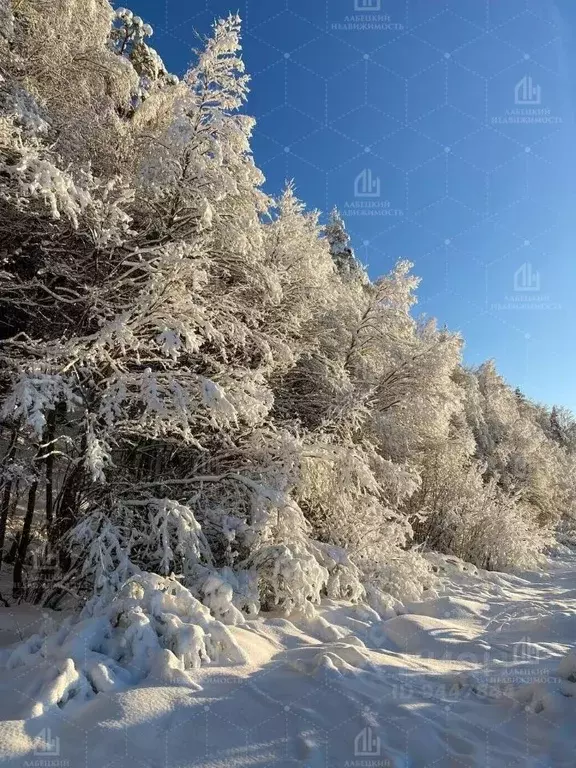 Участок в Ленинградская область, Волховский район, Кисельнинское ... - Фото 0