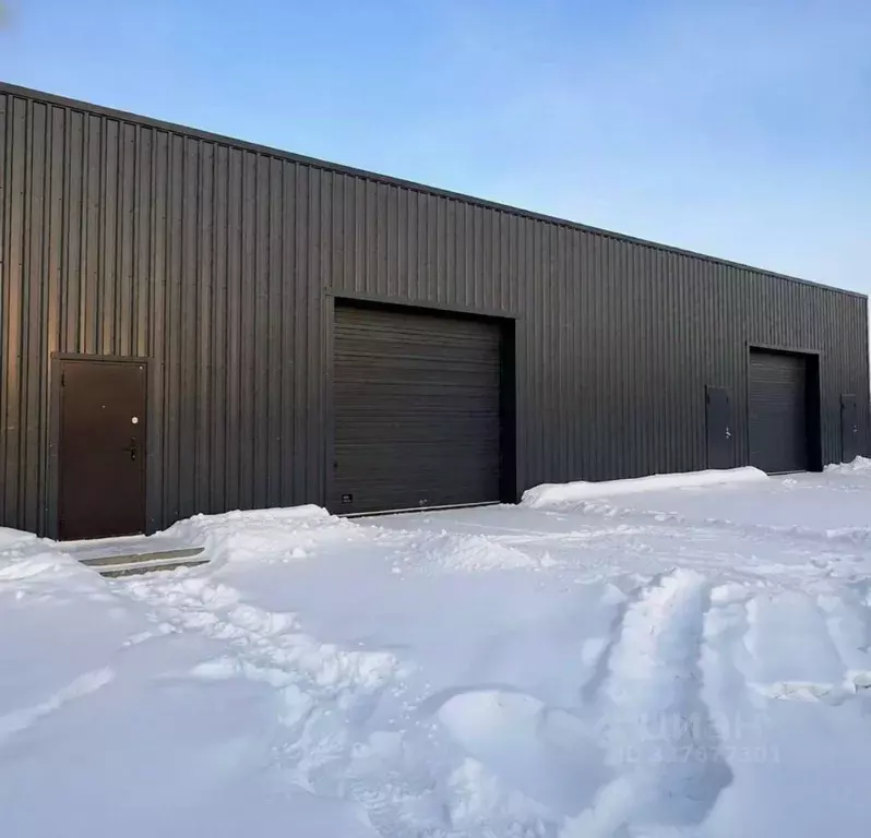 Помещение свободного назначения в Новосибирская область, Новосибирск ... - Фото 1