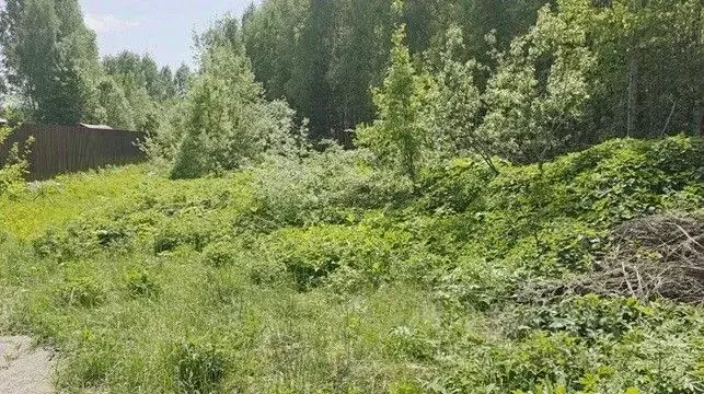 Участок в Московская область, Щелково городской округ, д. Аксеново ... - Фото 1