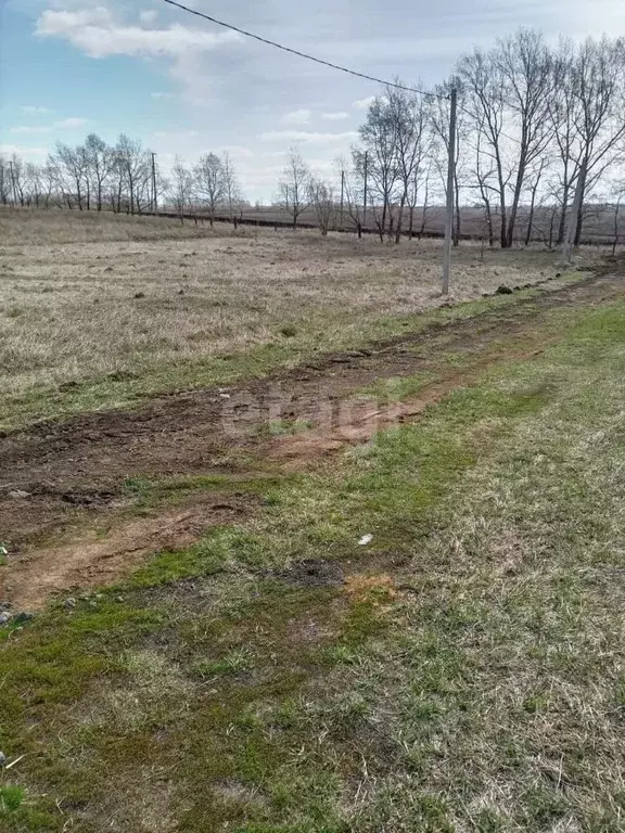 Участок в Алтайский край, Барнаул городской округ, пос. Центральный ... - Фото 1