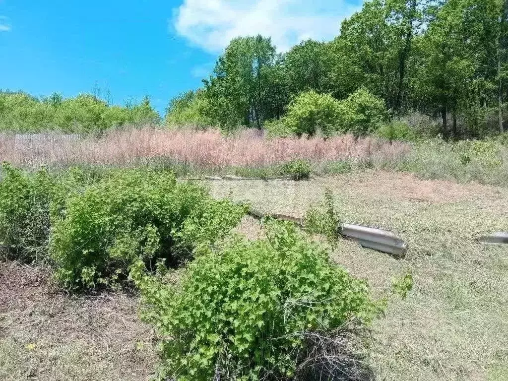 Участок в Амурская область, Благовещенск Завода Амурский Металлист СТ, ... - Фото 1