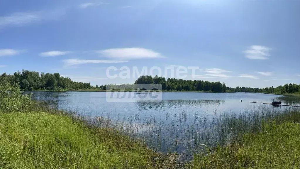 Участок в Карелия, Пряжинский район, Ведлозерское с/пос, д. Лахта 10 ... - Фото 0