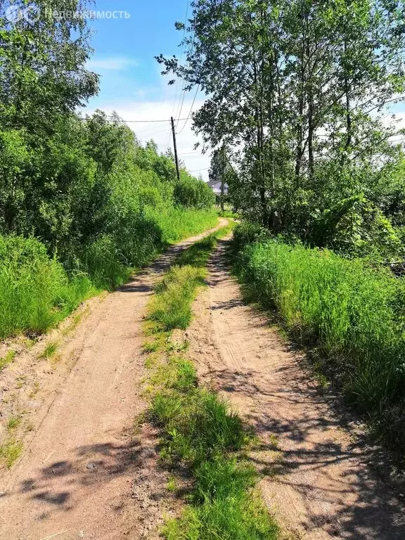 участок в выборгский район, советское городское поселение, посёлок . - Фото 1