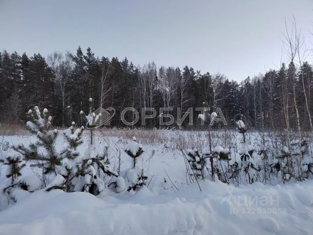 Участок в Тюменская область, Тюменский муниципальный округ, д. Якуши ... - Фото 1