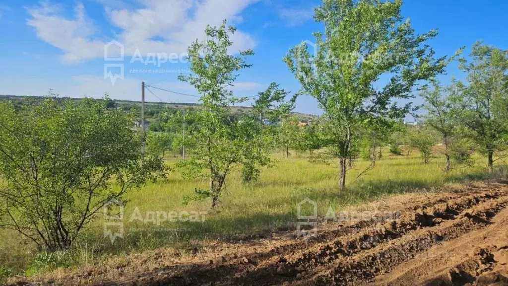 Участок в Волгоградская область, Волгоград ул. Артезианская (7.58 ... - Фото 1