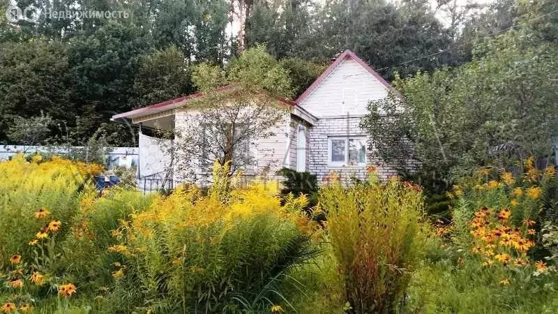 Дом в Псковский район, Тямшанская волость, СНТ Пристань-2 (4) (28 м) - Фото 1