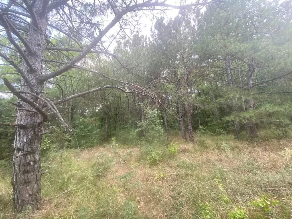 Участок в Крым, Ялта муниципальный округ, Кореиз пгт  (10.0 сот.) - Фото 1