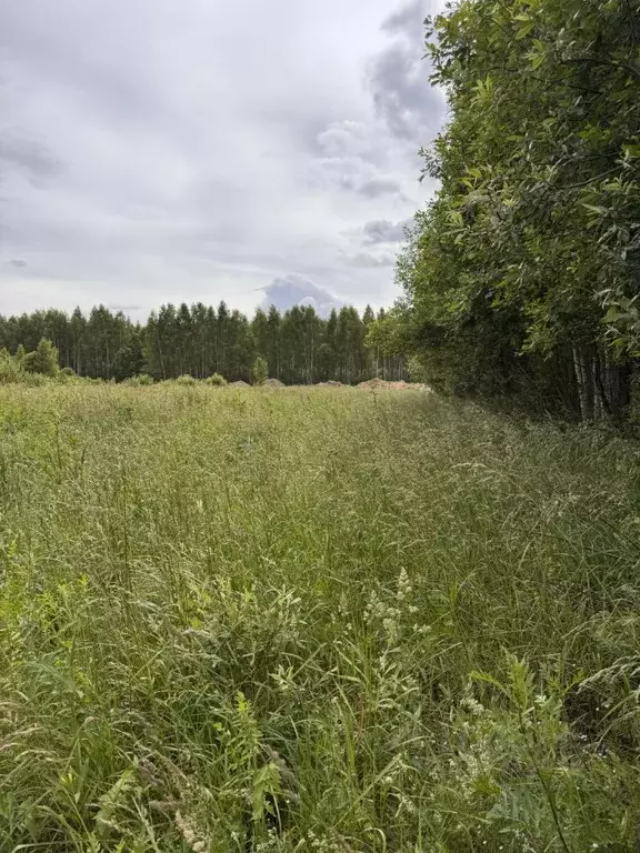 Участок в Ярославская область, Рыбинский муниципальный округ, с. ... - Фото 2