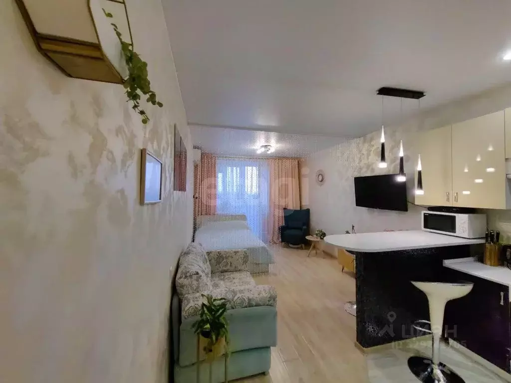 Студия Московская область, Пушкино Набережная ул., 2а (28.3 м) - Фото 1