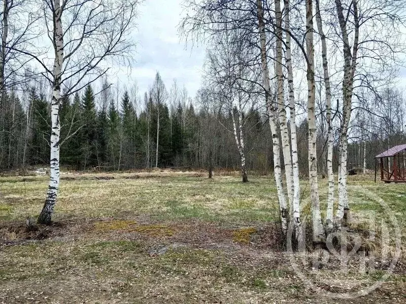 Участок в Ленинградская область, Приозерский район, Ларионовское ... - Фото 1
