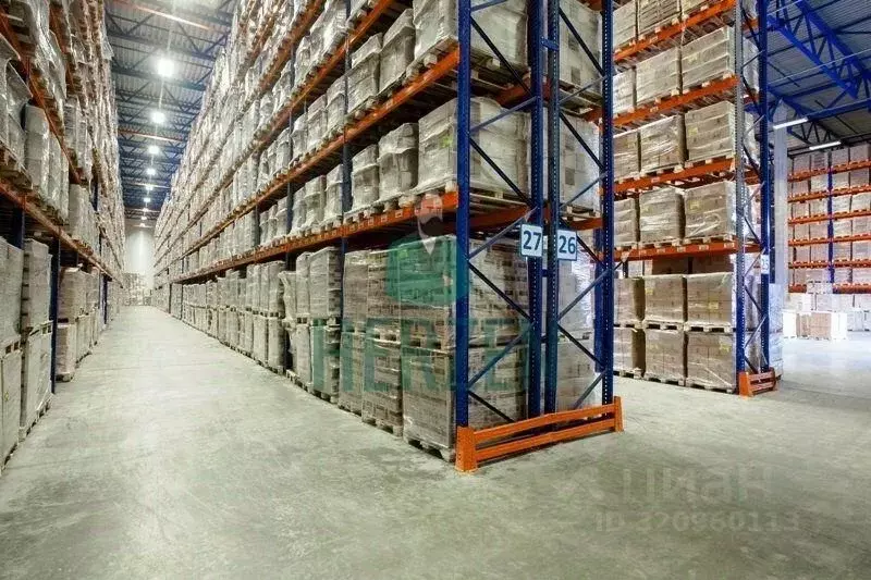 Склад в Московская область, Пересвет Сергиево-Посадский район, ул. ... - Фото 1