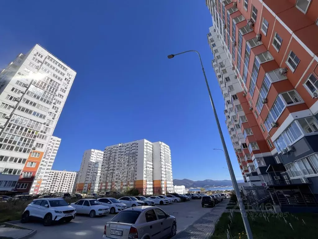 Помещение свободного назначения в Краснодарский край, Новороссийск ... - Фото 1