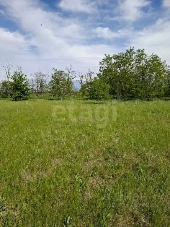 Участок в Краснодарский край, Ейский район, с. Кухаривка Кленовая ул. ... - Фото 2