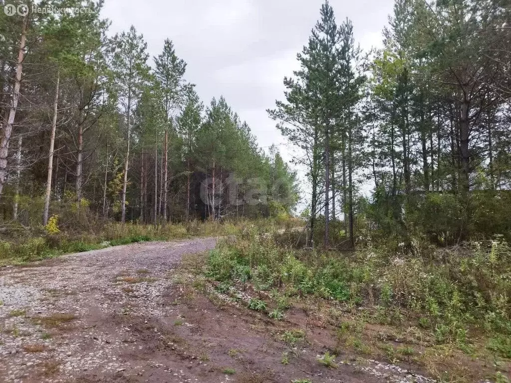 Участок в Талица, улица Луначарского (10 м) - Фото 1